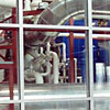 Interior plant view